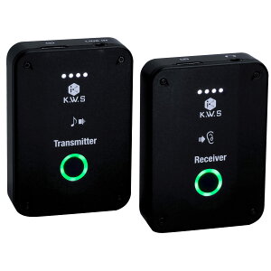 �yK.W.S�z���C�����X�C���C���[���j�^�[�V�X�e���@KWS-EM1