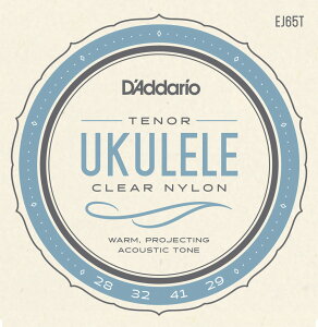 y䂤pPbgEzyD'Addario i__IjzyENzEJ65T Tenor Ukulele