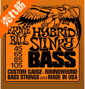 *yERNIE BALLiA[j[{[j x[Xz#2833 nCubhXL[