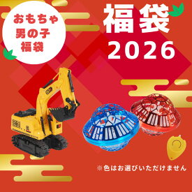 おもちゃ福袋 2026 福袋 男の子 おもちゃ ショベルカー ラジコン 福袋 子供 立体パズル ホビーグッズ セット HOBBY-HAPPYSET-A【送料無料】