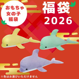 おもちゃ福袋 2026 福袋 女の子 おもちゃ ぬいぐるみ 福袋 子供 ビッグ 100cm イルカ ヌイグルミ セット HOBBY-HAPPYSET-B【送料無料】