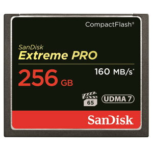 TfBXN CFJ[h 256GB EXTREME PRO S 1067{ 160MB/s SDCFXPS-256G-X46 RpNgtbV [J[h SanDisk COe[ yz yŋzz