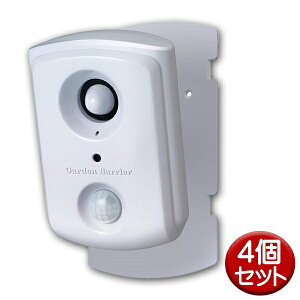 _1Day|Cg7{I11/1^ ^JCN L悯 K[foA X|bg 4 [d lR悯 ϓ g L lRQ y A ΍ GDX-SP-4P yz yŋzz