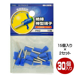 ≏_^[q PIN2 30i15×2j OHM 09-2470 DZ-PIN2A15-2P y[֑z