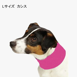 CZNgV[h 悯 Ђ lbNQC^[ JVX L ybgp hbOEFA INS-5555039 y[֑z