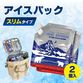 【10％OFF】 アイスパック2P 2個入 保冷剤 薄型 スリムタイプ 長時間 保冷 お弁当 アウトドア クーラーボックス対応 氷のう 保冷パック 冷凍可 再利用OK 夏の熱中症対策に ハック HAC4716 【メール便送料無料】
