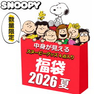 スヌーピー グッズ 初売り 福袋 セール 2026 キッズ レディース メンズ 中身が見える 4点入り 2500円 保…