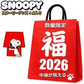 スヌーピー 福袋 2025 2026 中身が見える 4点入り ランチバッグ のびのび ソックス レディース キッズ 女の子 女性 まとめ売り PEANUTS SNOOPY 雑貨 夏 冬 クリスマスプレゼント プチギフト 粗品 プレゼント交換 余興 イベント