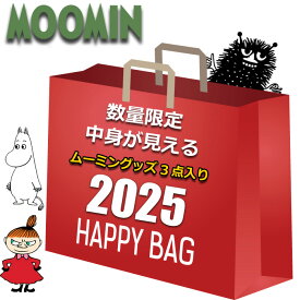 ムーミン 福袋 2025 中身が見える 3点入り ランチバッグ キーポーチ シリコン がま口ポーチ レディース キッズ 女の子 男の子 かわいい おしゃれ トート コインケース 小銭入れ 小物入れ まとめ売り キャラクターグッズ グッズ リトルミイ ミイ スナフキン ニョロニョロ