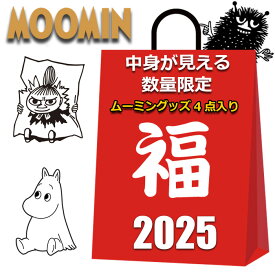 ムーミン 福袋 グッズ 2025 2026 4点入り 中身が見える メッセンジャーバッグ シリコン がま口 財布 ポーチ ソックス 靴下 レディース キッズ 女の子 女性 まとめ売り MOOMIN 雑貨 夏 冬 クリスマス プレゼント ニョロニョロ スティンキー ミイ ミィ オススメ お得
