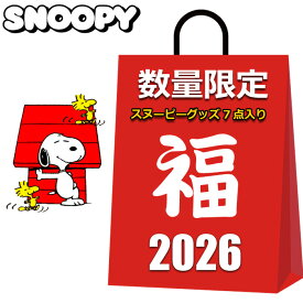 スヌーピー グッズ 初売り 福袋 セール 2026 キッズ レディース メンズ 必ず7点入って スヌーピーグッズ バッグ 雑貨 小物 その他グッズ レディース キッズ 女の子 女性 まとめ売り PEANUTS SNOOPY 2026福袋 雑貨 粗品 プレゼント交換 余興 イベント オススメ お買得 得