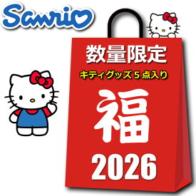 サンリオ ハローキティ グッズ 初売り 福袋 セール 2026 キッズ レディース ラッキーバッグ 5点入り 4980円 キティちゃん バッグ 雑貨 キャラクター クリスマス プレゼント ハッピーバッグ サンリオ女子 2026福袋 雑貨 冬 プチギフト 粗品 プレゼント交換 余興 イベント