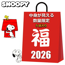 スヌーピー 福袋 グッズ 2025 2026 中身が見える 5点入り ブランケット トートバッグ カフェカップ マグカップ グラス レディース キッズ 女の子 女性 まとめ売り PEANUTS SNOOPY 雑貨 夏 冬 クリスマスプレゼント プチギフト 粗品 プレゼント交換 余興 イベント