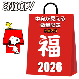 スヌーピー グッズ 初売り 福袋 セール 2026 キッズ レディース メンズ 中身が見える 5点入り 2480円 ショルダーバッグ 斜め掛けバッグ エコバッグ コンパクト 折りたたみ ソックス 巾着袋 女の子 女性 子供 まとめ売り 2026福袋 雑貨 SNOOPY お買得 お得 新春 SALE