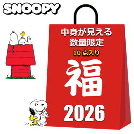 スヌーピー グッズ 初売り 福袋 セール 2026 キッズ レディース メンズ 中身が見える 10点入り 10000円 クッション ブランケット 水筒 ショルダーバッグ トートバッグ マグカップ グラス エコバッグ ソックス 巾着袋 女の子 女性 子供 まとめ売り 2026福袋 雑貨 SNOOPY