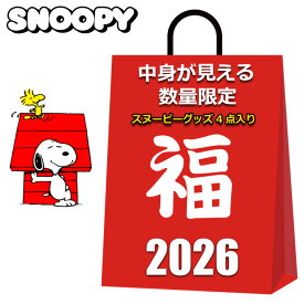 スヌーピー 福袋 グッズ 2025 2026 中身が見える 4点入り トートバッグ エコバッグ のびのび ソックス 靴下 巾着袋 レディース キッズ 女の子 女性 まとめ売り PEANUTS SNOOPY 雑貨 夏 冬 クリスマスプレゼント プチギフト 粗品 プレゼント交換 余興 イベント オススメ