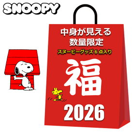 スヌーピー 福袋 グッズ 2025 2026 中身が見える 6点入り エコバッグ 巾着 のびのび ソックス 靴下 巾着袋 レディース キッズ 女の子 女性 まとめ売り PEANUTS SNOOPY 雑貨 夏 冬 秋 クリスマスプレゼント プチギフト 粗品 オススメ お買得
