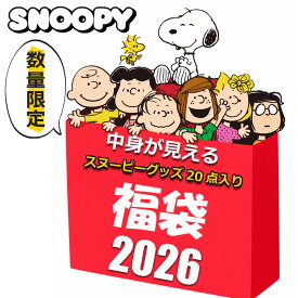 スヌーピー グッズ 初売り 福袋 セール 2026 キッズ レディース メンズ 中身が見える 20点入り 20000円 クッション ぬいぐるみ ブランケット 水筒 バッグ ランチボックスセット グラス マグカップ がま口ポーチ ソックス 女の子 女性 子供 まとめ売り 2026福袋 雑貨 SNOOPY