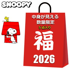 スヌーピー 福袋 2025 2026 中身が見える 5点入り 水筒 ブランケット マグカップ エコバッグ 女 レディース キッズ 女の子 女性 まとめ売り キャラクターグッズ PEANUTS SNOOPY 雑貨 夏 冬 オススメ 大量 おすすめ スヌーピーバッグ クリスマスプレゼント