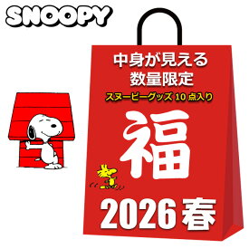 スヌーピー グッズ 福袋 セール 2026 キッズ レディース 中身が見える 10点入り 10000円 ぬいぐるみ 水筒 保冷レジカゴバッグ ランチバッグ アームカバー マグカップ 弁当箱 ペットボトルホルダー 巾着袋 ソックス 子供 まとめ売り 2026福袋 雑貨 SNOOPY お買得 お得 SALE