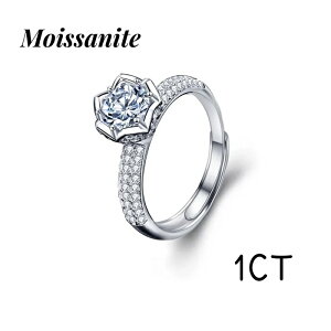 ATiCg O w O GQ[WO v|[YO G^jeB 1ct G^jeBO v|[Y v`i w AM[ i fB[X t[TCY