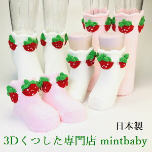 C xr[ fB[X 킢 C`S \bNX  Ԃ ̎q ƂƂ { 3D socks mintbaby xr[ \bNX ~ߕt