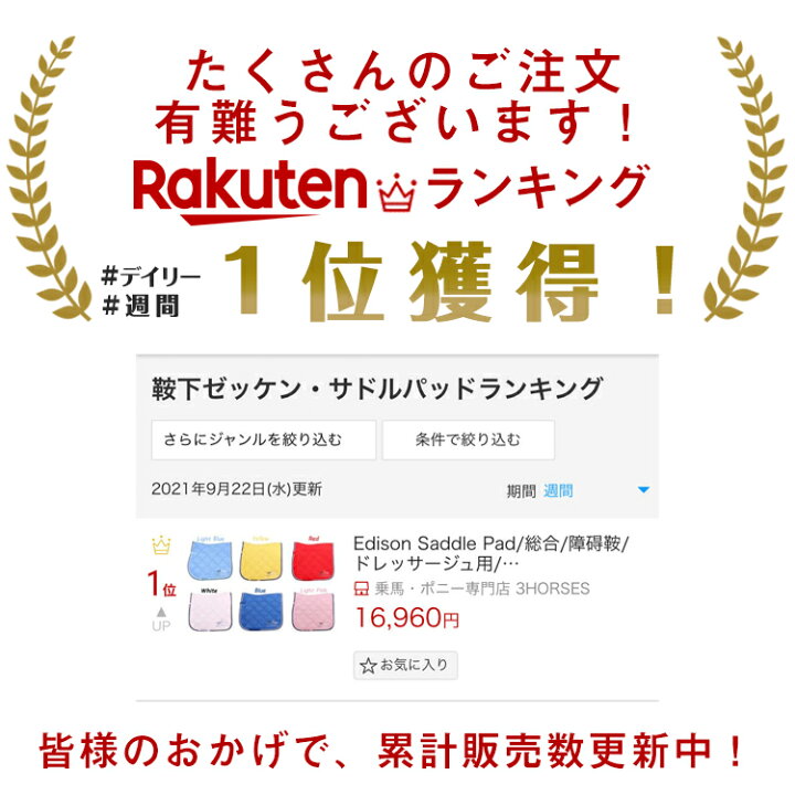 楽天市場】Edison Saddle Pad/総合/障碍鞍/ドレッサージュ用/馬場鞍用  