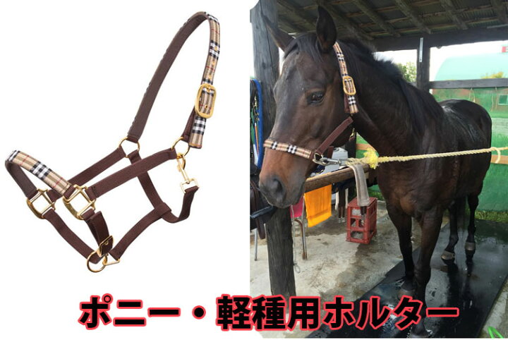 楽天市場】ポニー用 ホルター 無口 シェットランドポニー用 カラフル 