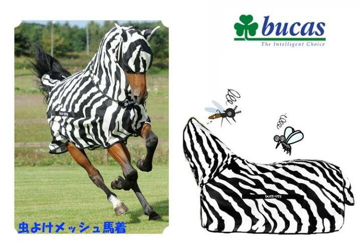楽天市場】【5/20 新入荷】 【bucas/ビューカス 】バズオフゼブラ  