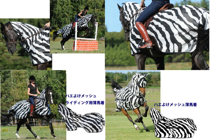 楽天市場】【7/1 新入荷】 【bucas/ビューカス 】バズオフゼブラフライ  