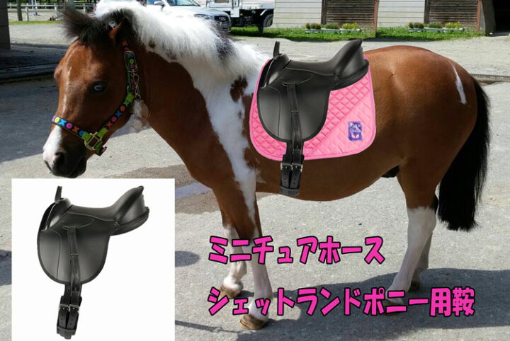楽天市場】ミニチュアホース・シェットランドポニー ポニー用総合鞍  