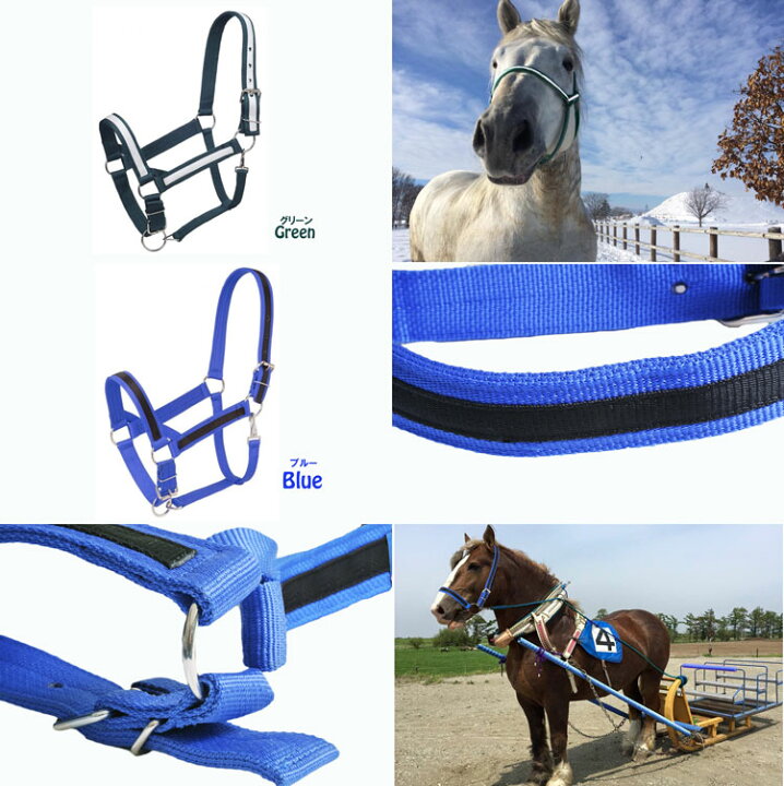 楽天市場】Tough-1/タフ-ワン Nylon Draft Horse Halter輓馬用/農耕馬 