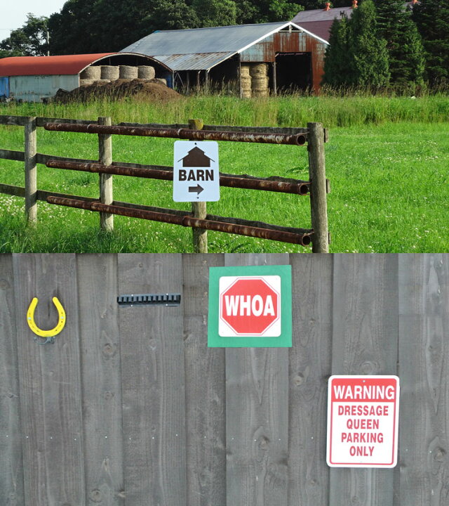楽天市場】Farm/Stable signs 乗馬クラブ 馬の標識/乗馬用品 : 乗馬・ポニー専門店 3HORSES