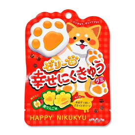 楽天市場 犬 グミ あめ ミント ガム スイーツ お菓子の通販