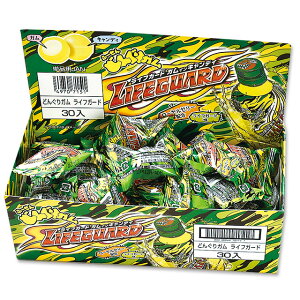 まとめ買い(30個)【パイン どんぐりガム ライフガード ×30個】