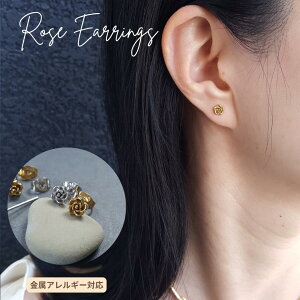 I[ XeX 5mm [Y X^bhsAX S[h Vo[ 24kgp CIbL bL IWi KN ROSE  Vv  AM[t[ ςȂ fB[X Mt