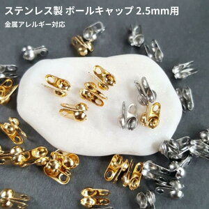 I[XeX 10Zbg ̔ {[Lbv 2.5mm {[`F[p ڑ p[c S[h Vo[ T[WJXeX 24KGPCIbL {WEbL lbNXf uX