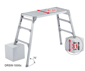 @llłJHƋrLkVL^CvDRSW-1000csiłBkCEE͕ʓr^܂B