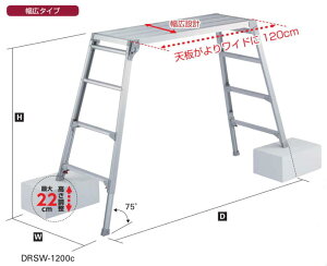 @llłJHƋrLkVL^CvDRSW-1200csiłBkCEE͕ʓr^܂B