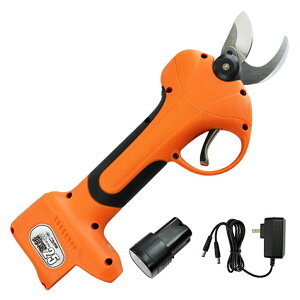 jVKLHƁ@[dۙ25@N-770obe[E[dtsiłBE͕ʓr^܂B