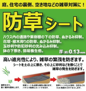 ����TOOL�h���V�[�g0�D5Mx30M10�{����Z�b�g�I