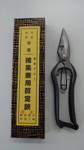 G@Eʌp@No.505190mm@~