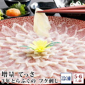 ＼楽天ランキング受賞／ (冷凍) 増量 ふぐ刺し てっさ 3年とらふぐの フグ刺し (約5-6人前) お取り寄せグルメ ふぐ 淡路島3年とらふぐ 若男水産