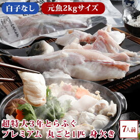 超特大 3年とらふぐプレミアム 丸ごと1匹 身欠き (白子なし)(元魚2kgサイズ)鍋7人前 淡路島3年とらふぐ 若男水産