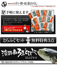 梅コース!!【4年もの!3年とらふぐ極】ふぐ鍋セット(5−6人前)