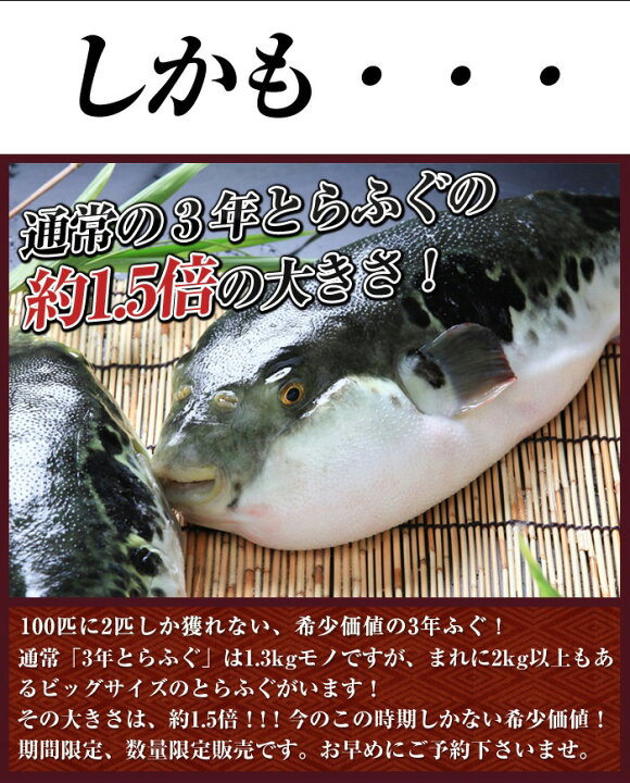 楽天市場】超特大 3年とらふぐプレミアム 丸ごと1匹 身欠き (白子なし 