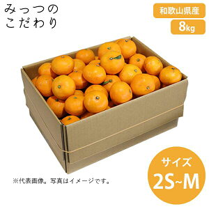 a̎RY@݂@ӂ낢2S`MTCY@8kgOρ@Ay@zByZzCy@z