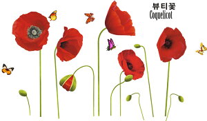 EH[XebJ[ ЂȂ ǎ V[ OK ͂  DIY ͗lւ CeA 㠈 qiQV l l corn poppy X 傤 o^tC  ̓