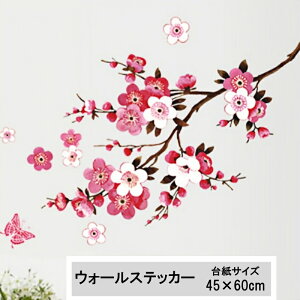 EH[XebJ[ ~̉ ǎ V[ OK ͂  DIY ͗lւ CeA  t[ a { ̓