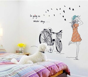 EH[XebJ[ TCNO ǎ V[ OK ͂  DIY ͗lւ CeA  n蒹 o[h bird ] `R TCN ̎q  K[ girl C